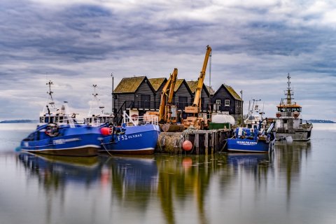 boten van vissers in Whitstable, Engeland