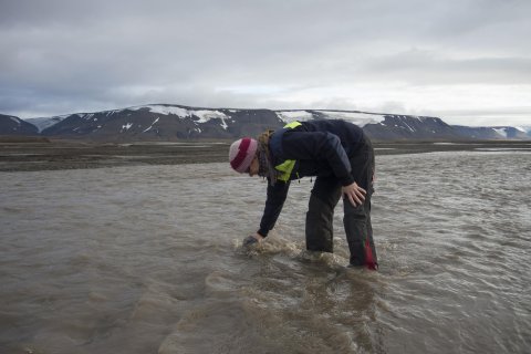 Spitsbergen: Jorien Vonk