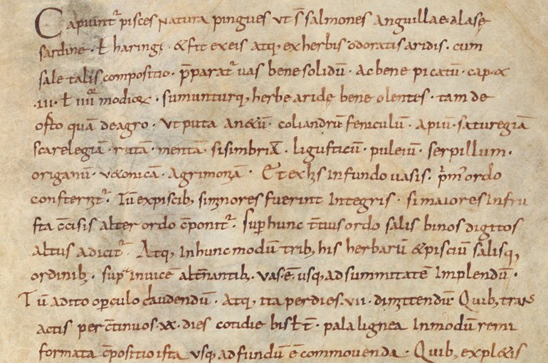 ‘a Carolingian fish recipe’, St. Gallen, Stiftsbibliothek, Cod. Sang. 899, p. 139 