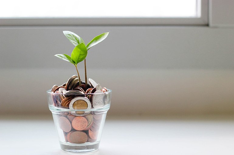 Plantje groeit in potje geld. Foto: Micheile Henderson, via Unsplash
