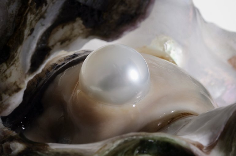 Parel in een oester © iStockphoto.com/ayala_studio