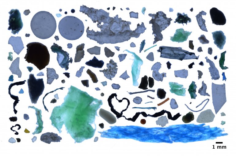 Photo collage of plastic fragments found in the Arctic Ocean. Photo: Andres Cozar.