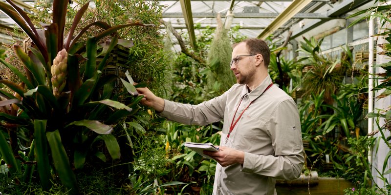 Botanic Gardens curator in greenhouse