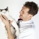 Dierenarts-lid Commissie Masterherziening Paul van Aalst met kat